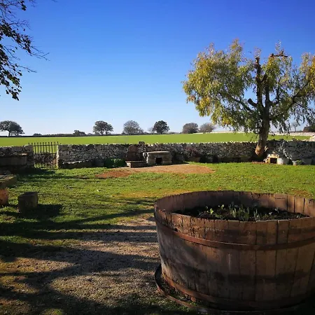 Masseria La Gatta Matta Farm stay *