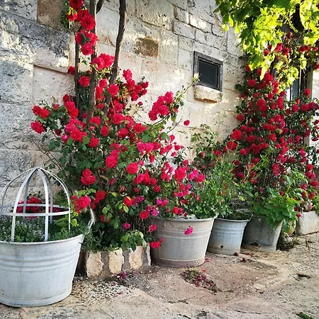 Farm stay Masseria La Gatta Matta