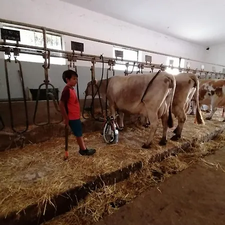 Masseria La Gatta Matta Farm stay *