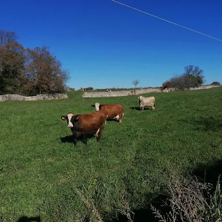 Masseria La Gatta Matta Farm stay *