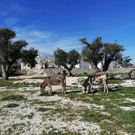 Masseria La Gatta Matta