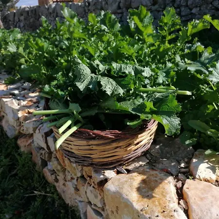 Masseria La Gatta Matta *