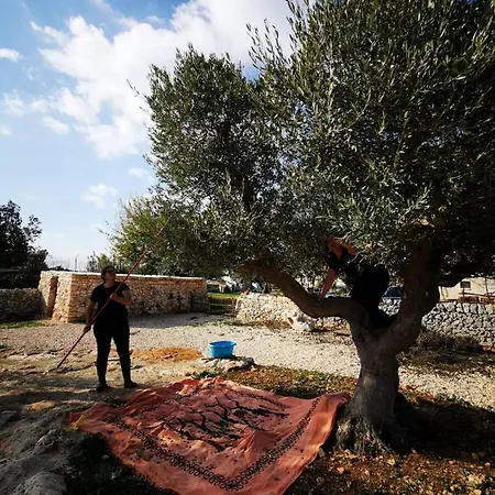 Farm stay Masseria La Gatta Matta *
